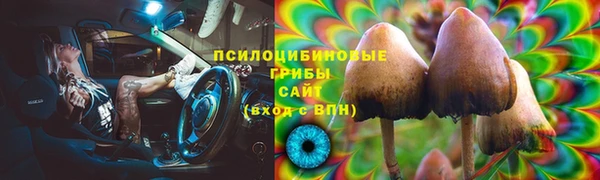 прущая мука Богородицк