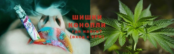 гашик Сафоново