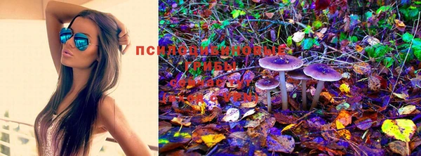 кокаин колумбия Сатка