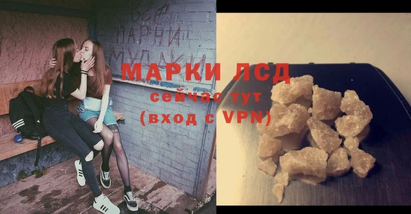 винт Богданович