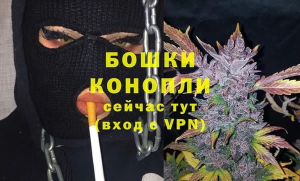 винт Богданович